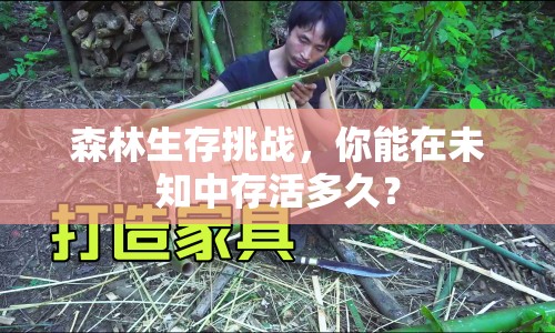 森林生存挑戰(zhàn)，你能在未知中存活多久？