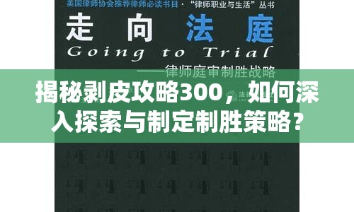 揭秘剝皮攻略300，如何深入探索與制定制勝策略？