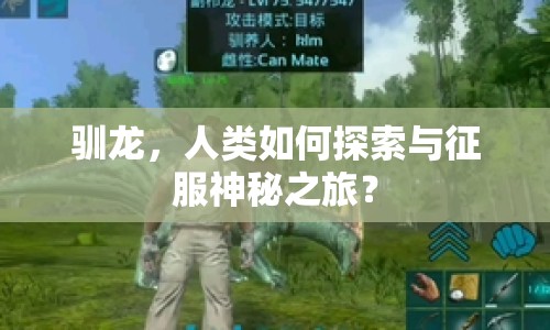 馴龍，人類如何探索與征服神秘之旅？