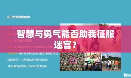 智慧與勇氣能否助我征服迷宮？