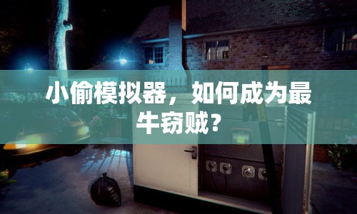 小偷模擬器，如何成為最牛竊賊？