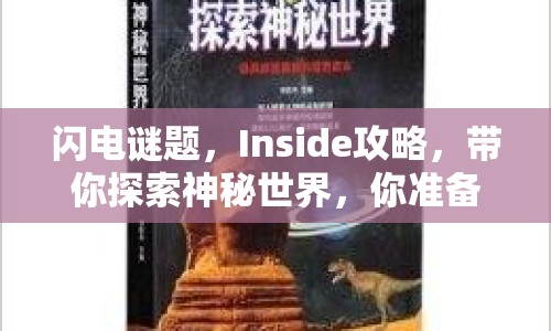 閃電謎題，Inside攻略，帶你探索神秘世界，你準(zhǔn)備好了嗎？