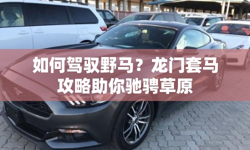 如何駕馭野馬？龍門套馬攻略助你馳騁草原