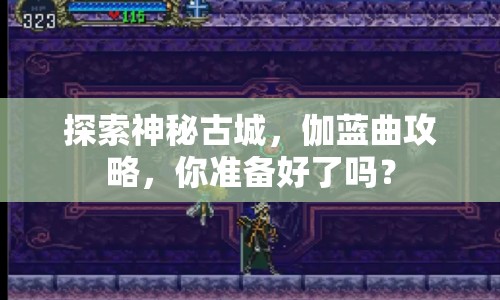 探索神秘古城，伽藍曲攻略，你準備好了嗎？