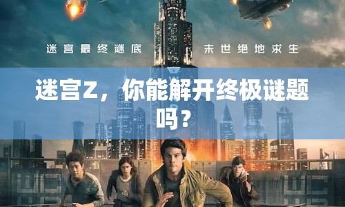迷宮Z，你能解開(kāi)終極謎題嗎？