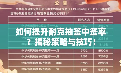 如何提升耐克抽簽中簽率？揭秘策略與技巧！