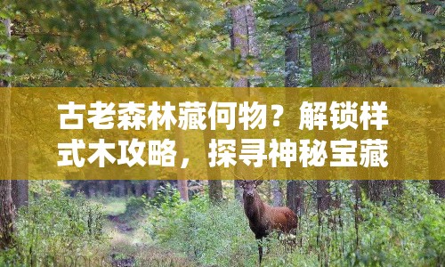古老森林藏何物？解鎖樣式木攻略，探尋神秘寶藏！