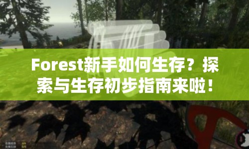 Forest新手如何生存？探索與生存初步指南來啦！