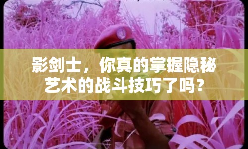 影劍士，你真的掌握隱秘藝術(shù)的戰(zhàn)斗技巧了嗎？