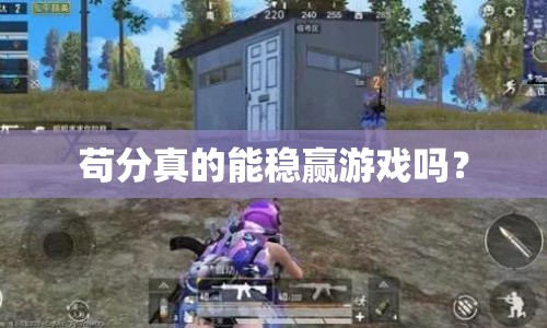 茍分真的能穩(wěn)贏游戲嗎？