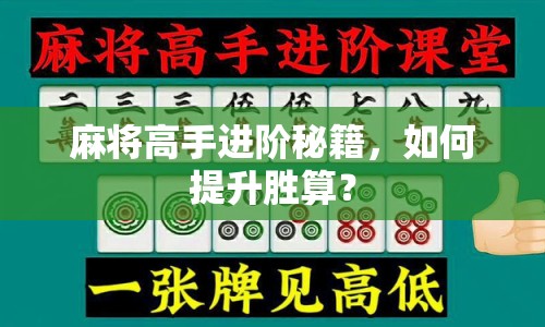 麻將高手進(jìn)階秘籍，如何提升勝算？