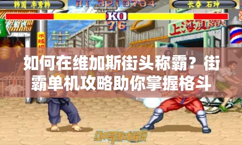 如何在維加斯街頭稱霸？街霸單機攻略助你掌握格斗精髓！