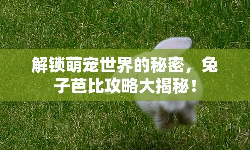 解鎖萌寵世界的秘密，兔子芭比攻略大揭秘！