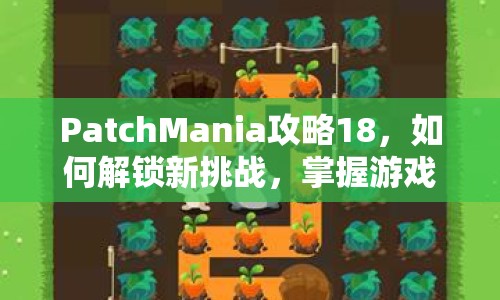 PatchMania攻略18，如何解鎖新挑戰(zhàn)，掌握游戲精髓？