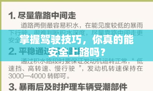 掌握駕駛技巧，你真的能安全上路嗎？