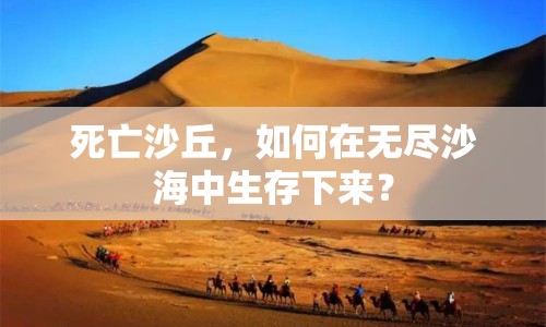 死亡沙丘，如何在無盡沙海中生存下來？