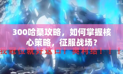 300哈桑攻略，如何掌握核心策略，征服戰(zhàn)場(chǎng)？