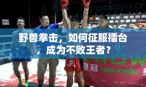 野獸拳擊，如何征服擂臺(tái)，成為不敗王者？