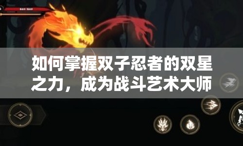 如何掌握雙子忍者的雙星之力，成為戰(zhàn)斗藝術(shù)大師？