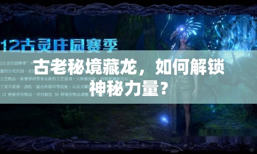 古老秘境藏龍，如何解鎖神秘力量？