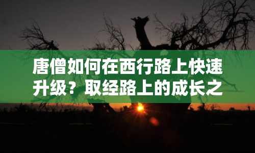 唐僧如何在西行路上快速升級？取經(jīng)路上的成長之旅揭秘！