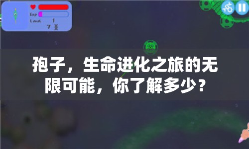 孢子，生命進化之旅的無限可能，你了解多少？