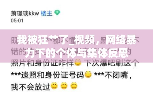 我被狂艸了_視頻，網(wǎng)絡(luò)暴力下的個(gè)體與集體反思