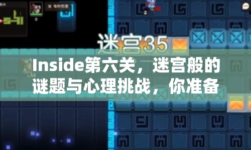 Inside第六關(guān)，迷宮般的謎題與心理挑戰(zhàn)，你準備好了嗎？