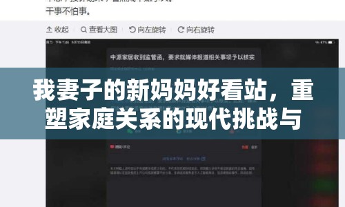 我妻子的新媽媽好看站，重塑家庭關(guān)系的現(xiàn)代挑戰(zhàn)與機遇
