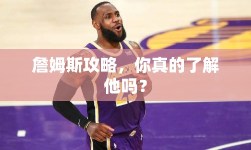 詹姆斯攻略，你真的了解他嗎？