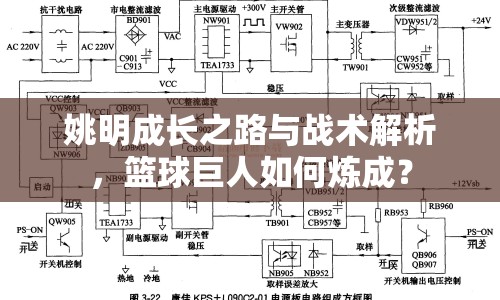 姚明成長之路與戰(zhàn)術解析，籃球巨人如何煉成？