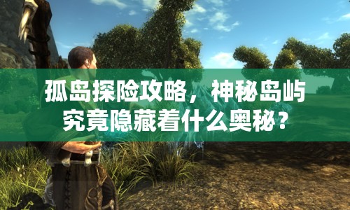 孤島探險攻略，神秘島嶼究竟隱藏著什么奧秘？
