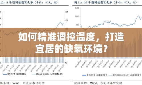 如何精準調控溫度，打造宜居的缺氧環(huán)境？