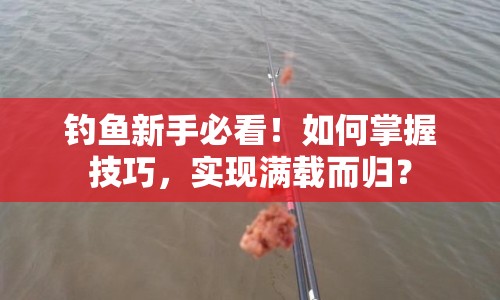 釣魚新手必看！如何掌握技巧，實現(xiàn)滿載而歸？