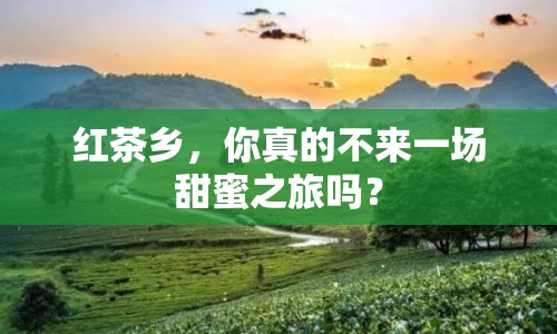 紅茶鄉(xiāng)，你真的不來一場(chǎng)甜蜜之旅嗎？