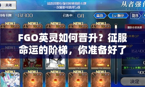 FGO英靈如何晉升？征服命運(yùn)的階梯，你準(zhǔn)備好了嗎？