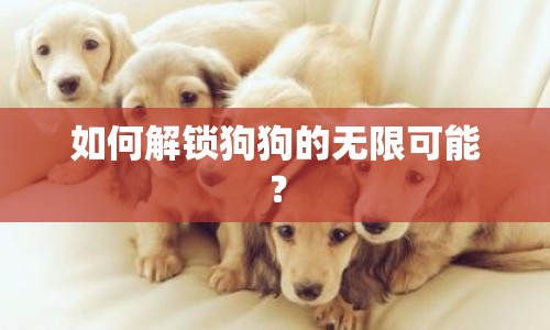 如何解鎖狗狗的無限可能？