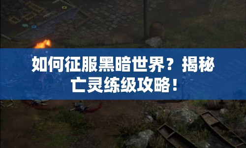 如何征服黑暗世界？揭秘亡靈練級(jí)攻略！