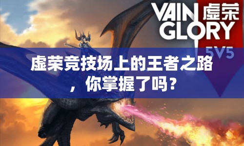 虛榮競(jìng)技場(chǎng)上的王者之路，你掌握了嗎？