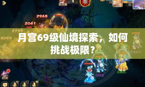 月宮69級(jí)仙境探索，如何挑戰(zhàn)極限？