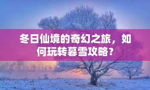 冬日仙境的奇幻之旅，如何玩轉(zhuǎn)暮雪攻略？