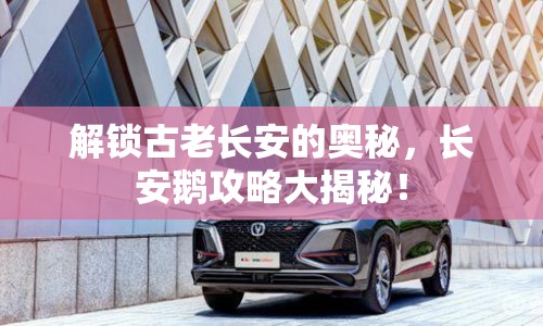 解鎖古老長安的奧秘，長安鵝攻略大揭秘！