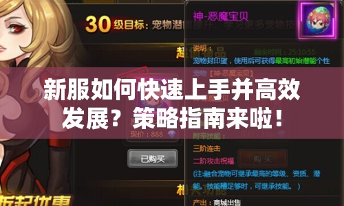 新服如何快速上手并高效發(fā)展？策略指南來啦！