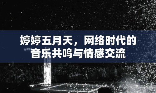 婷婷五月天，網(wǎng)絡時代的音樂共鳴與情感交流