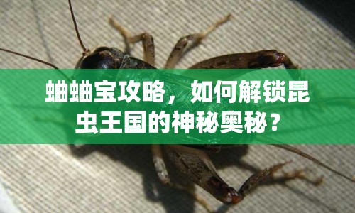 蛐蛐寶攻略，如何解鎖昆蟲王國的神秘奧秘？