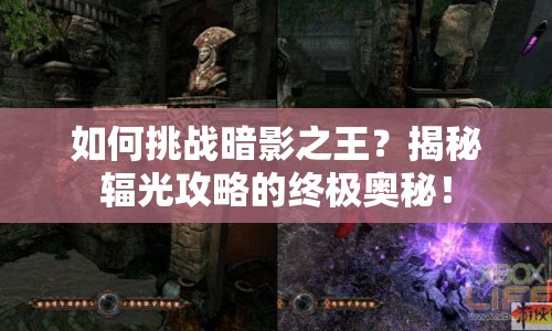 如何挑戰(zhàn)暗影之王？揭秘輻光攻略的終極奧秘！