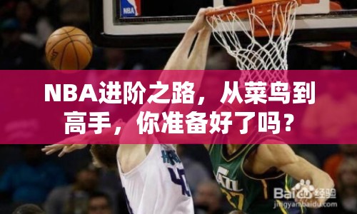 NBA進(jìn)階之路，從菜鳥到高手，你準(zhǔn)備好了嗎？