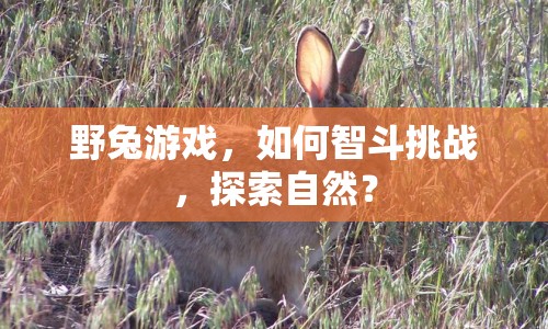 野兔游戲，如何智斗挑戰(zhàn)，探索自然？