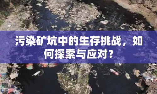 污染礦坑中的生存挑戰(zhàn)，如何探索與應(yīng)對(duì)？