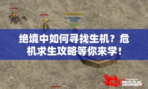 絕境中如何尋找生機？危機求生攻略等你來學(xué)！